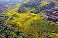 広西チワン族自治区竜勝各族自治県の竜脊棚田の風景（2020年10月12日撮影）。(c)Xinhua News