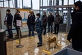 ロシアのアエロフロート・ロシア航空が行っているコロナ探知犬の訓練。モスクワ・シェレメチェボ空港で（2020年10月9日撮影）。(c)Dimitar DILKOFF / AFP