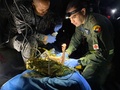 コロンビアのジャングルで見つかった子どもの健康状態を調べる兵士。空軍提供（2023年6月9日撮影・提供）。(c)AFP PHOTO / COLOMBIAN AIR FORCE