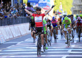 第96回ジロ・デ・イタリア（2013 Giro d&apos;Italia）は26日、第21ステージ（リエーゼ・ピオ・デチモからブレシア、197キロメートル）が行われ、アスタナ（Astana）のヴィンセンツォ・ニバリ（Vincenzo Nibali、イタリア）が総合優勝を果たした。

ステージ優勝にはオメガファルマ・クイックステップ（Omega Pharma-Quick Step）のマーク・カヴェンディッシュ（Mark Cavendish）が輝いた。

ステージ優勝を決めるオメガファルマ・クイックステップのマーク・カヴェンディッシュ（2013年5月26日撮影）。(c)AFP/LUK BENIES