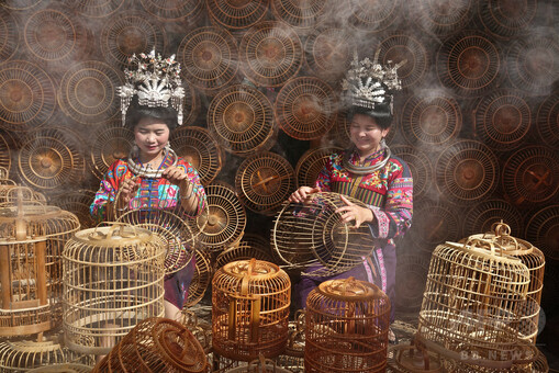 ミャオ族「鳥籠芸術の郷」 貴州 写真6枚 国際ニュース：AFPBB News