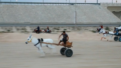 伝統のロバレース、動物愛護団体が非難 バーレーン