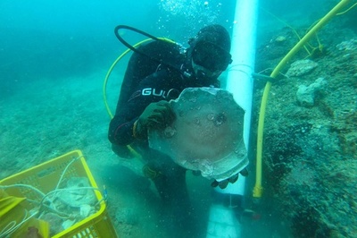 難破船から中国製陶磁器 シンガポール海運史に光