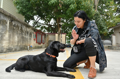 中国のフレキシブルワーカーは2億人 自由に稼げるが保障に不安