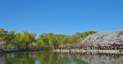 中国の観光市場が急回復