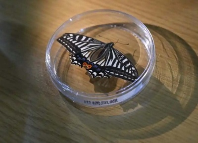 「宇宙のチョウ」がさなぎから羽化　中国は地球生命の耐性を証明