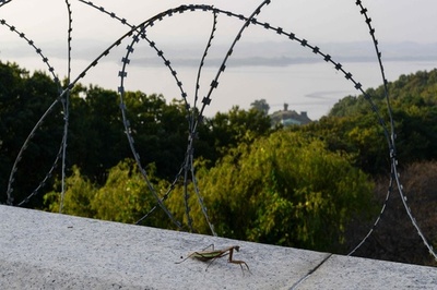 侵入無人機は韓国軍機と「立証」 北朝鮮、主権侵害と非難