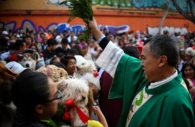 ペットに神の祝福を、メキシコの教会