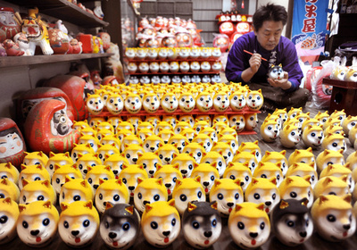 犬好き必見!  柴犬モチーフの「干支だるま」ずらり 神奈川