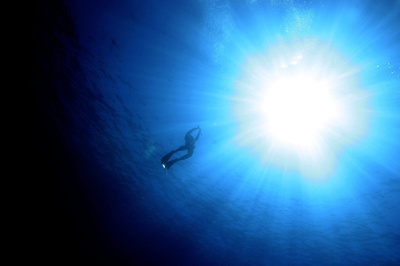 海洋プランクトンに未知の多様性、大規模国際調査で判明