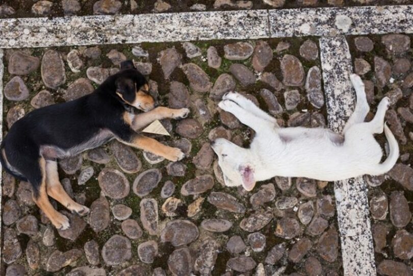 　gettyimagesBank(c)MONEYTODAY