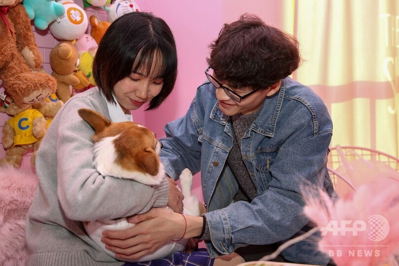 コーギーがウエートレスに 上海のドッグカフェ