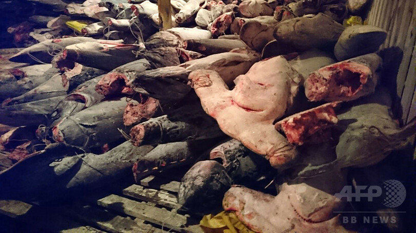 中国船をガラパゴス諸島沖で拿捕 船内から魚300トン エクアドル