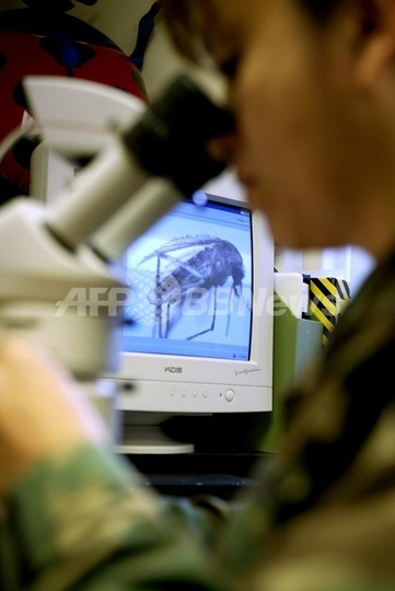 米テキサス州ダラス市、西ナイル熱ウイルスで非常事態宣言 米テキサス州ダラス市、西ナイル熱ウイルスで非常事態宣言