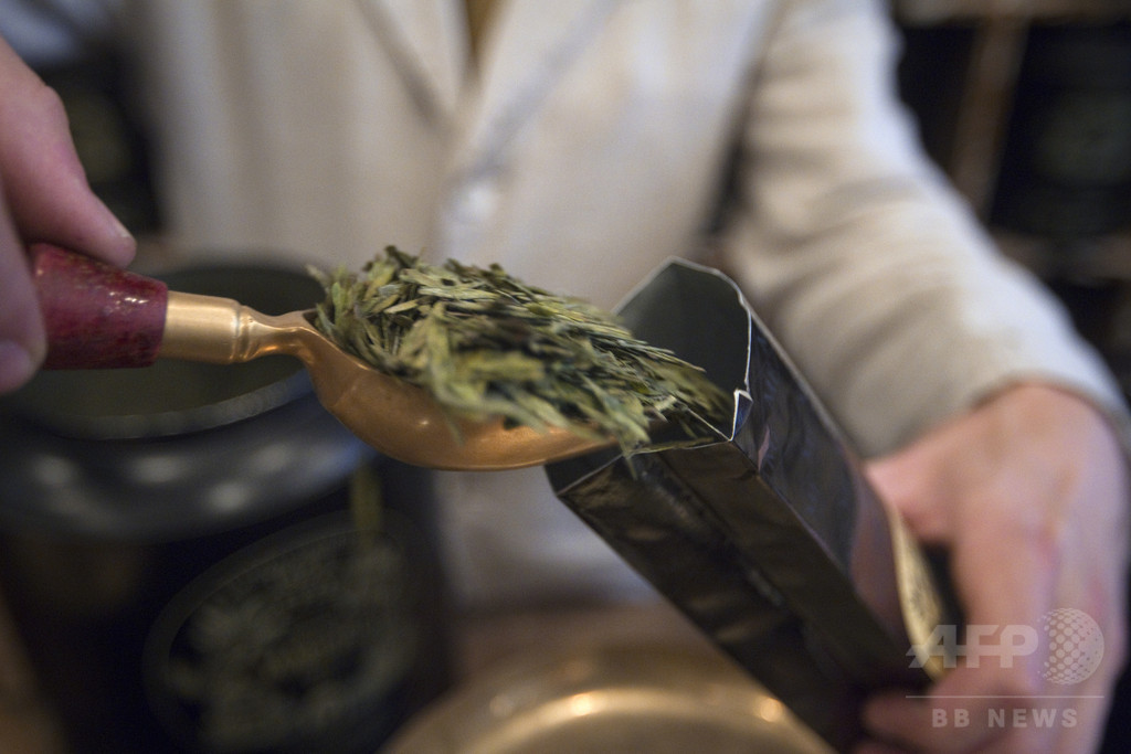 緑茶の成分、ダウン症患者の認知能力向上に効果 研究 緑茶の成分、ダウン症患者の認知能力向上に効果 研究
