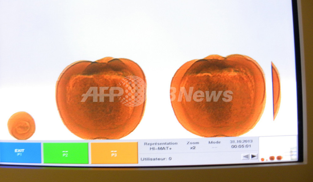 カナダ空港で手荷物のカボチャから麻薬、ハロウィーンの日 写真3枚 国際ニュース:AFPBB News