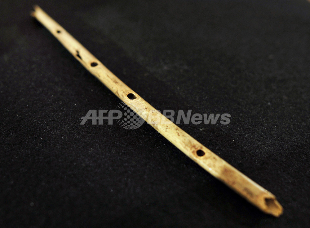 【古い】フルート 世界最古の楽器か、石器時代の「フルート」を発掘 ドイツ 写真9枚 国際