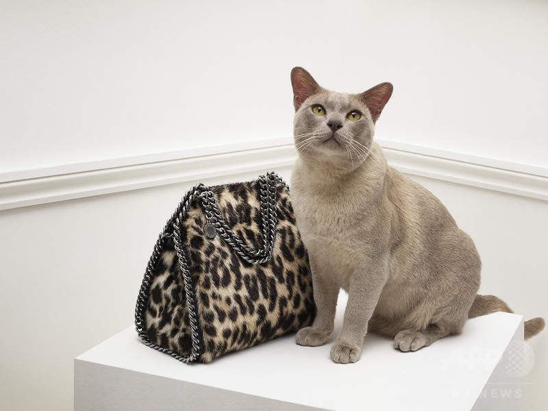 「ステラ マッカートニー」阪急うめだ本店にポップアップストア