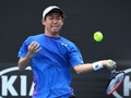 全豪オープンテニス、男子シングルス1回戦。フォアハンドを打つ西岡良仁（2017年1月17日撮影）。(c)AFP/SAEED KHAN