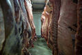 米国産牛肉（2020年5月26日撮影、資料写真）。(c)Natalie Behring / AFP