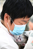 河南省商丘市の動物園で四川キンシコウの赤ちゃんを世話するスタッフ（2025年4月8日撮影）。(c)Xinhua News