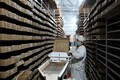 ミールワーム養殖工場でさなぎの選別をする従業員（2020年4月1日撮影）。(c)Xinhua News