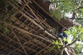 ミャンマー・ヤンゴン郊外の村で、木の上に立てられた小屋に腰掛ける男性（2016年1月14日撮影）。(c)AFP/Ye Aung THU