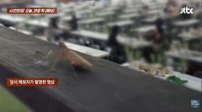 「手すりのカマキリ撮影」→「盗撮」疑い…韓国「娘を撮ったのか」と抗議され当惑