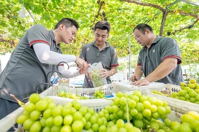 中国の宅配便取扱量 1～8月は前年比17.8%増