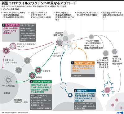 【図解】新型コロナウイルスワクチンへの異なるアプローチ