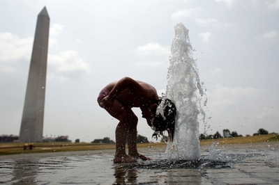 熱波の米首都、「街路樹の水やり」を住民に要請