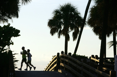 長寿の鍵、社会との接触と定期的な運動
