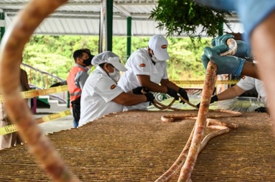 長さ2692メートル！ 世界最長のチョリソ コロンビア