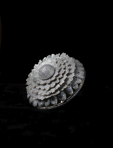 ダイヤ1万2638個使用の指輪、世界記録に認定 インド