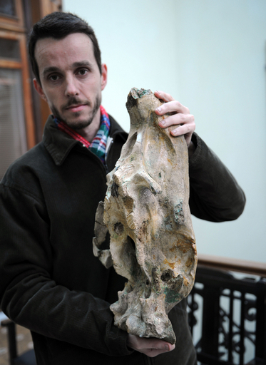 巨大ネズミの化石、ウルグアイで発見