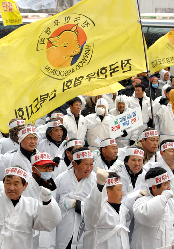 米国産牛肉の輸入に対する抗議活動 - 韓国