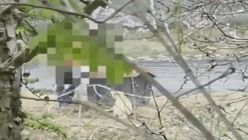 男性が犬を足で踏みつける様子＝動物自由連帯提供(c)NEWSIS