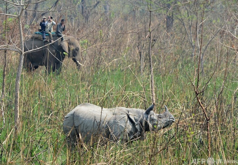 自然保護で高評価のネパール、裏で先住民「虐待」 人権団体報告