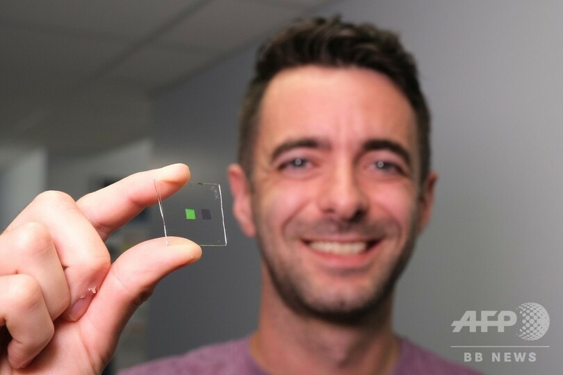 ウイスキーの違いを判別する人工「舌」、英大学チームが開発