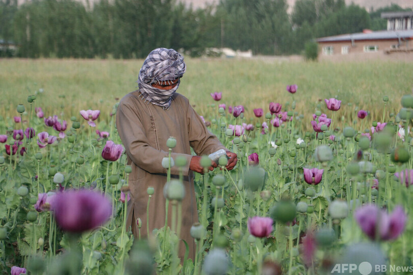 言語的および物理的な刺激