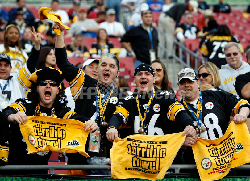 観戦を楽しむファン、NFL第43回スーパーボウル