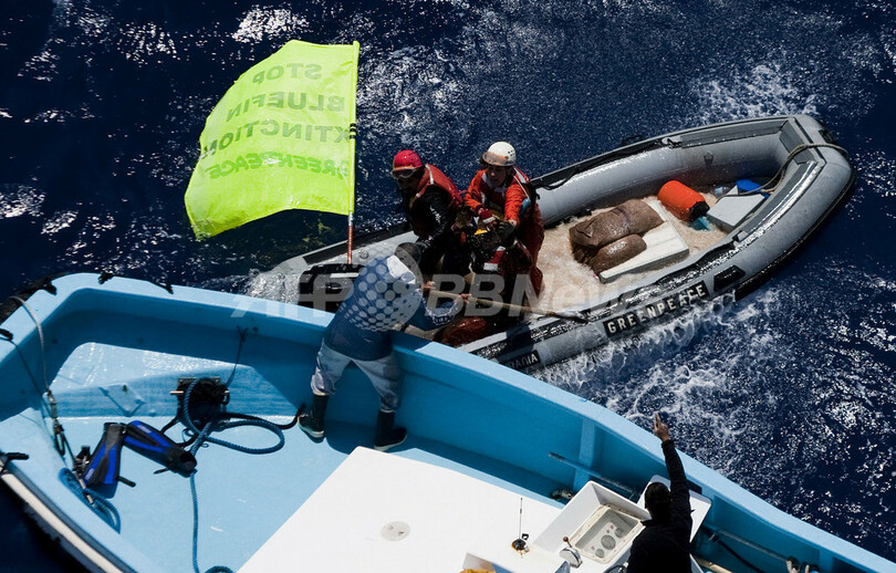 シー・シェパード、地中海でクロマグロ漁への抗議行動へ