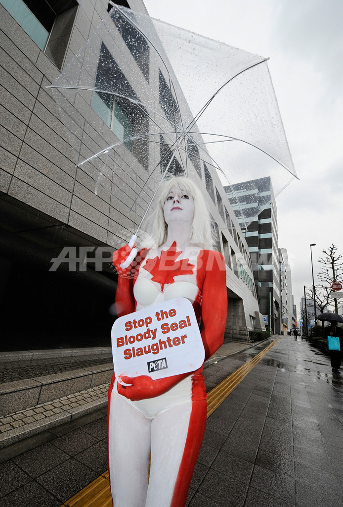 カナダ国旗のボディーペイントでアザラシ猟に抗議、PETA
