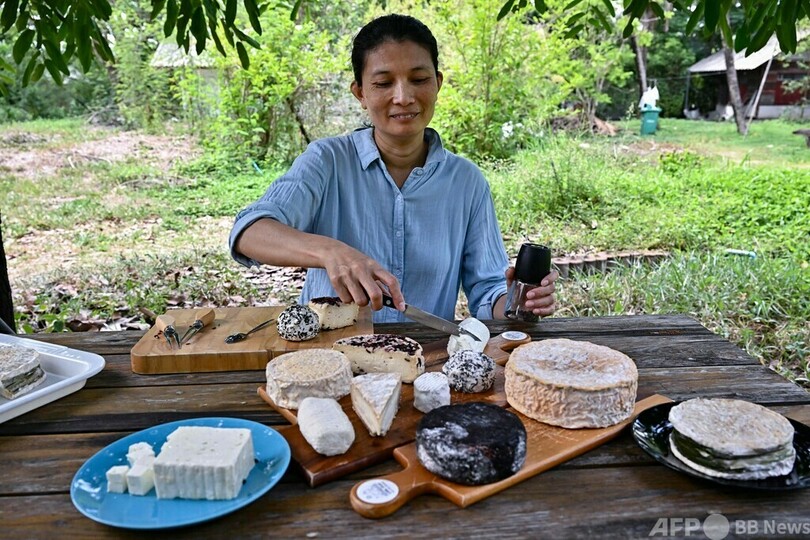 乳製品はほとんど食べたことなかった 南国タイのチーズ職人
