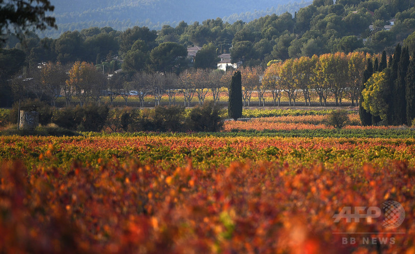 南フランス 紅葉が広がる秋の風景 写真9枚 国際ニュース Afpbb News