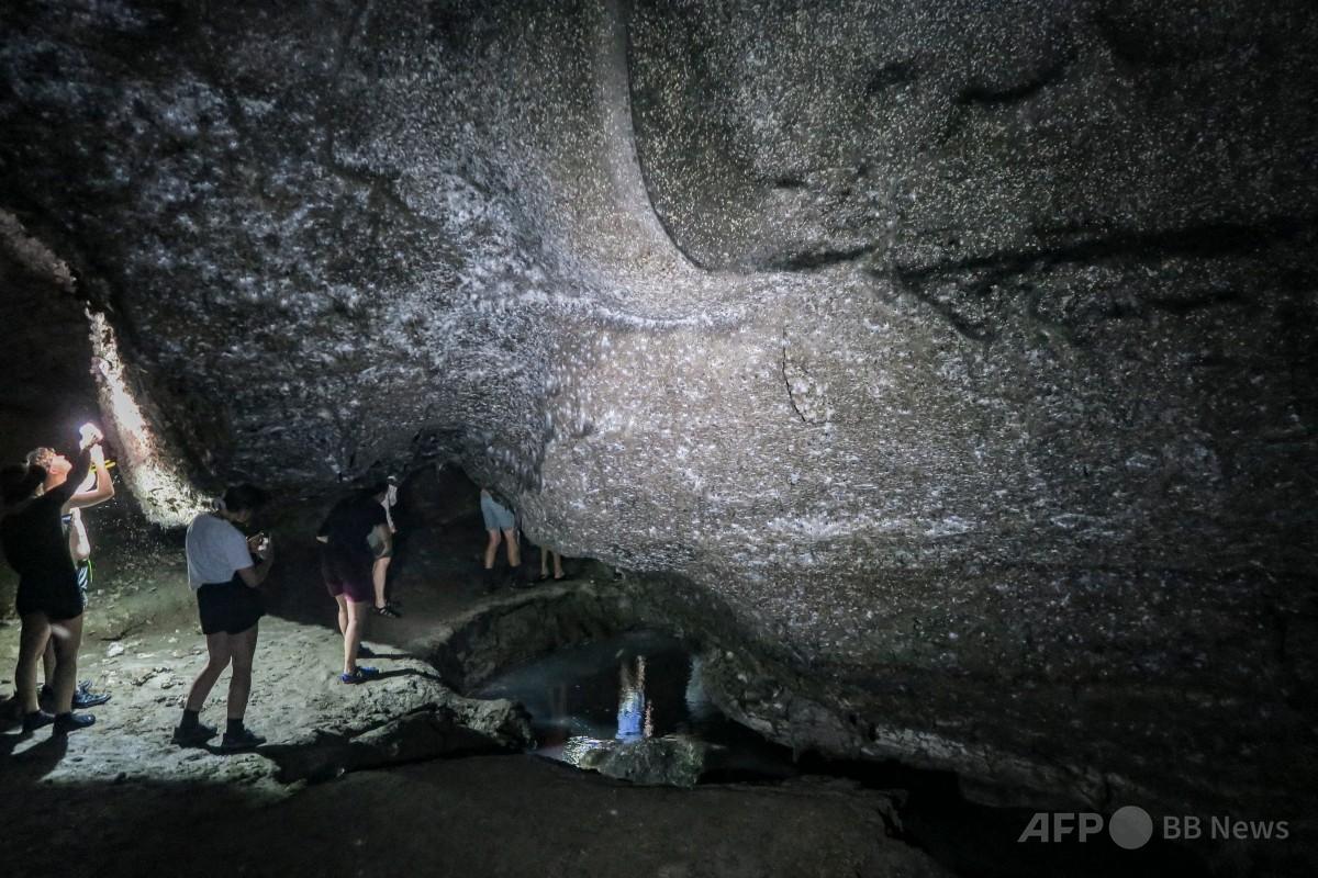 ギリシャ・アルバニア国境の洞窟に巨大クモの巣、約11万匹生息 写真13