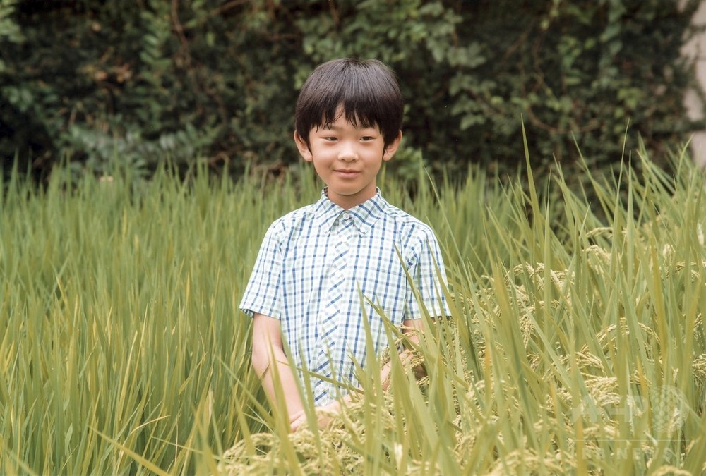悠仁さま10歳に、米作りにご興味も 写真8枚 国際ニュース：AFPBB News 