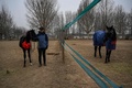 中国・希諾谷によるクローン馬「壮壮」（左）と、「壮壮」を産んだ代理母の馬（右）。北京の乗馬クラブで（2023年1月12日撮影）。(c)Jade GAO / AFP