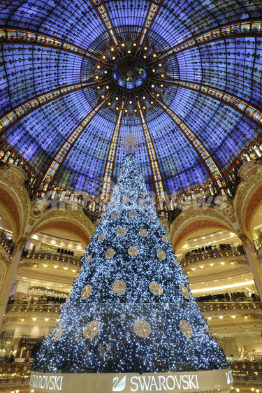 早々と豪華クリスマスツリー登場、パリ高級百貨店 写真15枚 国際