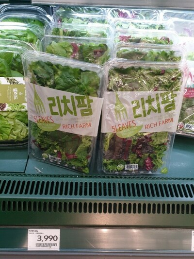 「野菜の値段が高すぎる」…カット野菜を求める消費者が増えた – KOREA WAVE